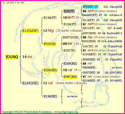 Pedigree of B2(AK} :
four generations presented